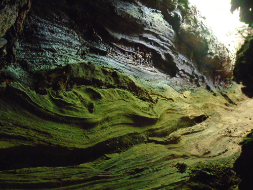 photography-TrunkWaves