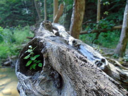 photography-protectyou